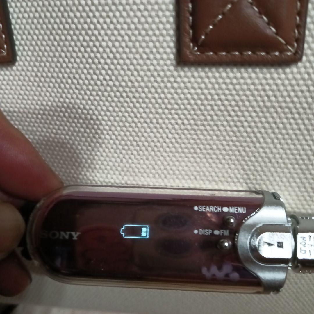 SONY ウォークマン WALKMAN NW-E505 本体 紫
