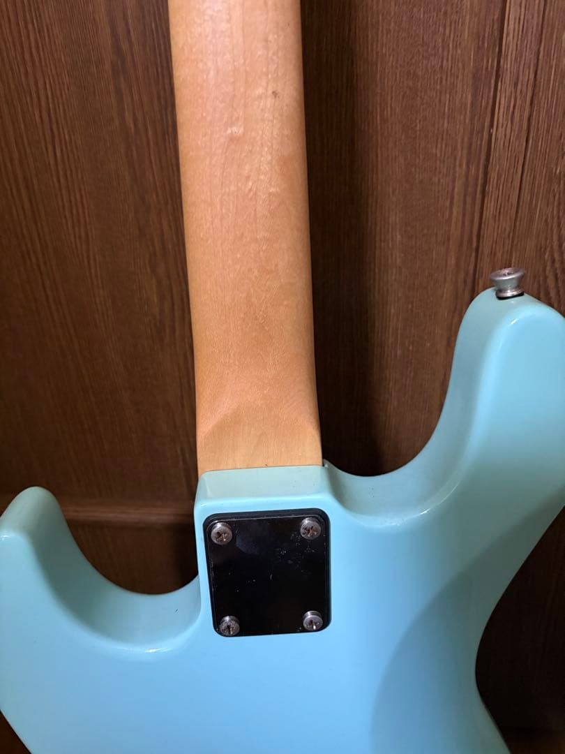 bucchus エレキベース　ソフトケース付き