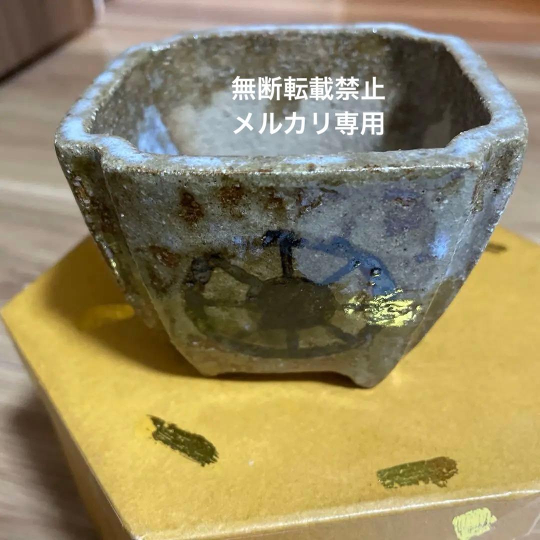 盆栽鉢　桑津香石　山野草　梅　椿　小品盆栽