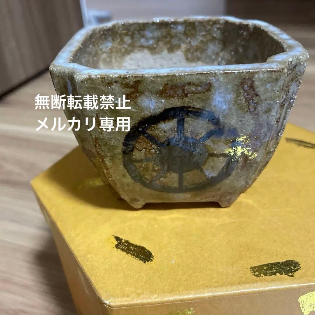 盆栽鉢　桑津香石　山野草　梅　椿　小品盆栽