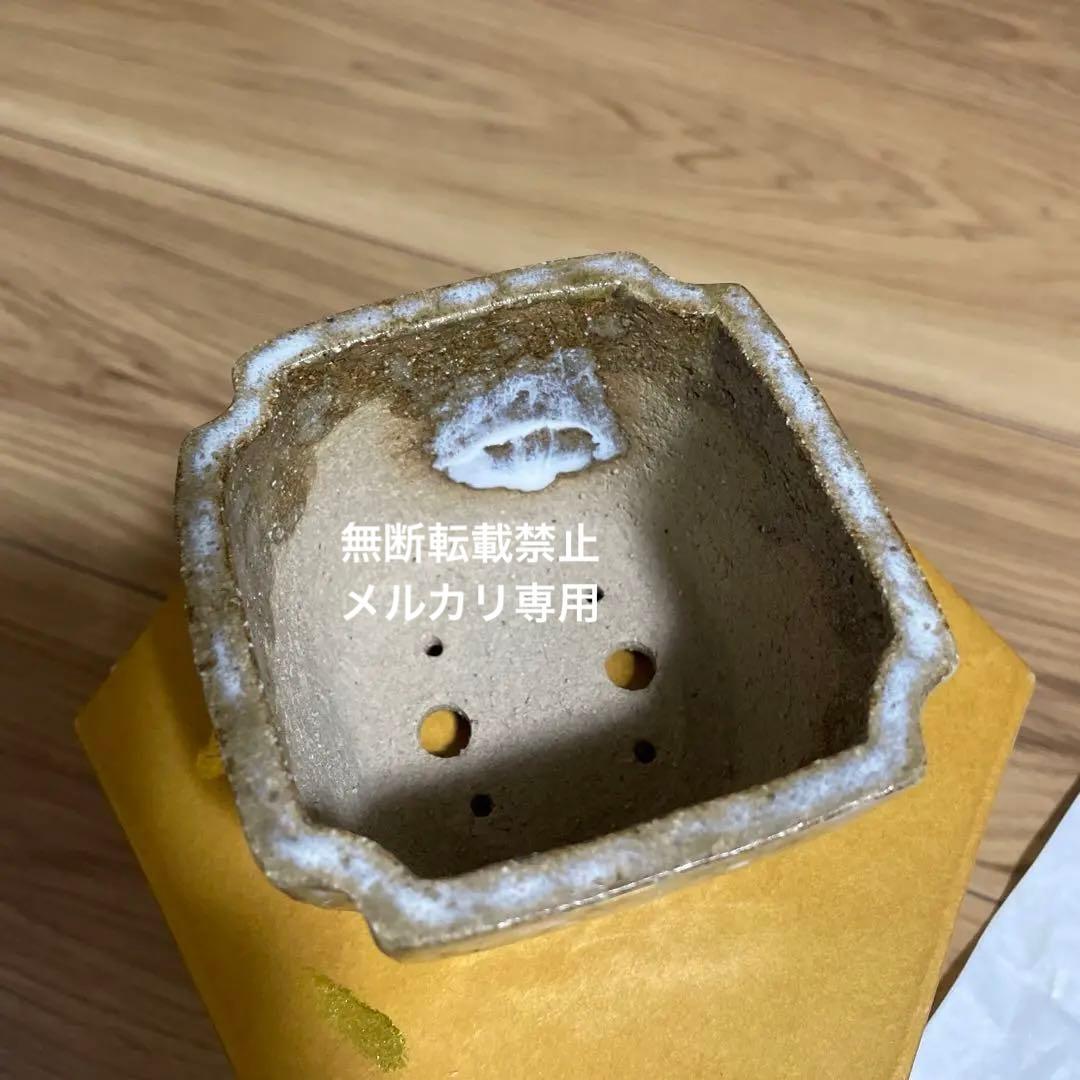 盆栽鉢　桑津香石　山野草　梅　椿　小品盆栽