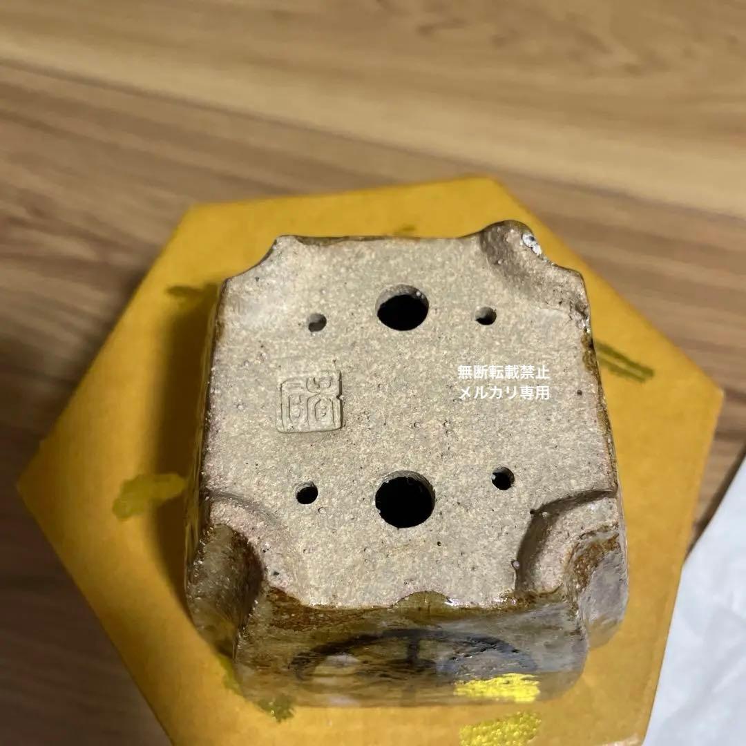 盆栽鉢　桑津香石　山野草　梅　椿　小品盆栽