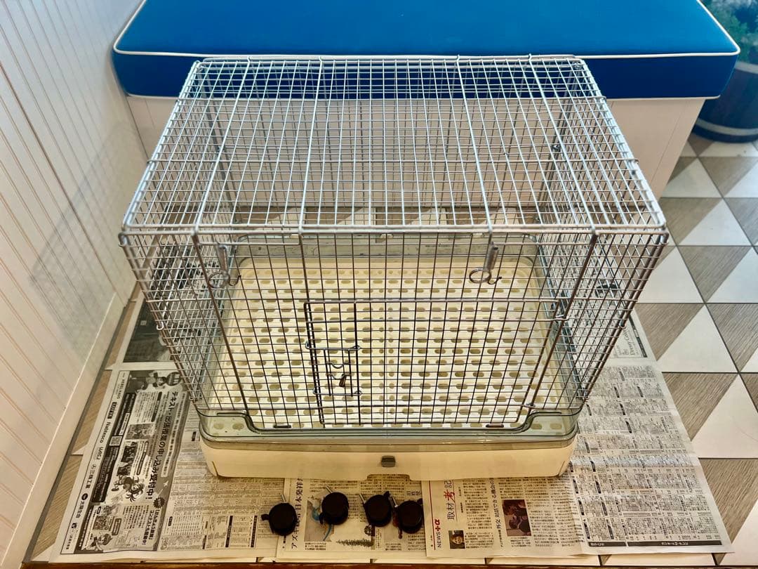小動物 犬猫ウサギフェレット ケージ コジマ　65×45×60 イージーホーム