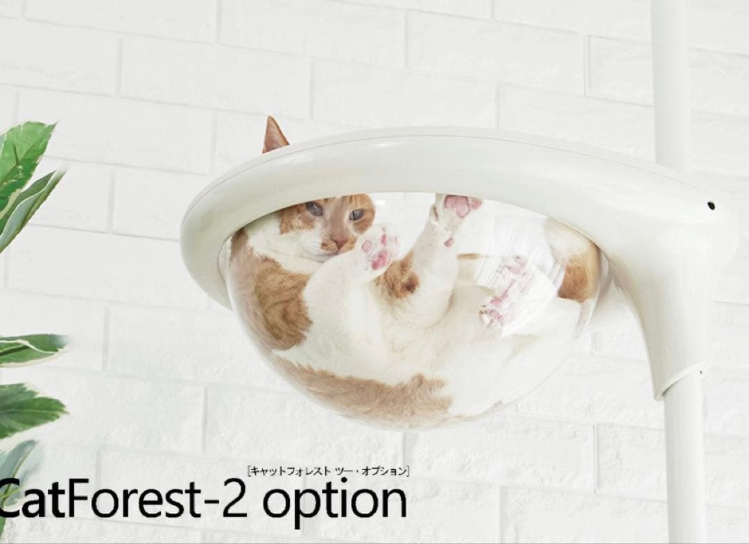 OPPO オッポ キャットフォレストオプション　クリアボウル　ホワイト