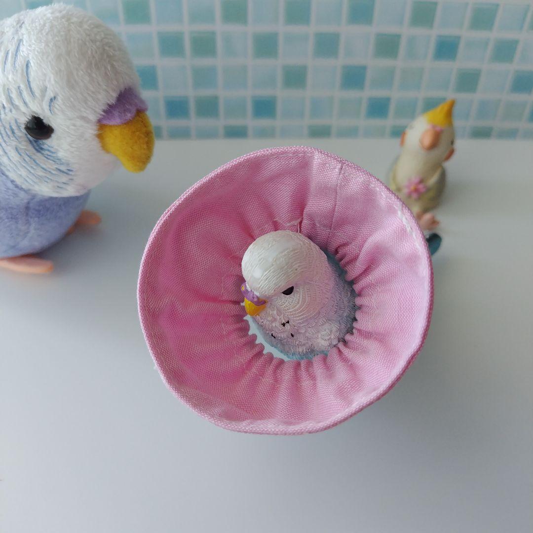 *＊ ハンドメイド　小鳥用　エリザベスカラー ＊* しっかりタイプ