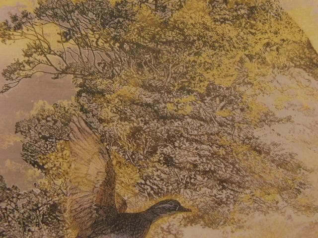 下田義寛、【凍霞（鴛鴦）】、希少な額装用画集より、新品額装付