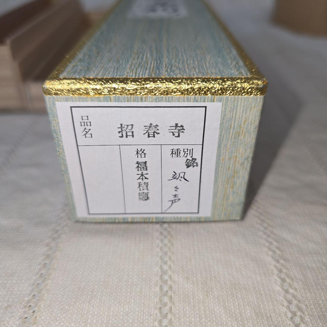 招春寺 竹製 茶杓 福本積應 颯声