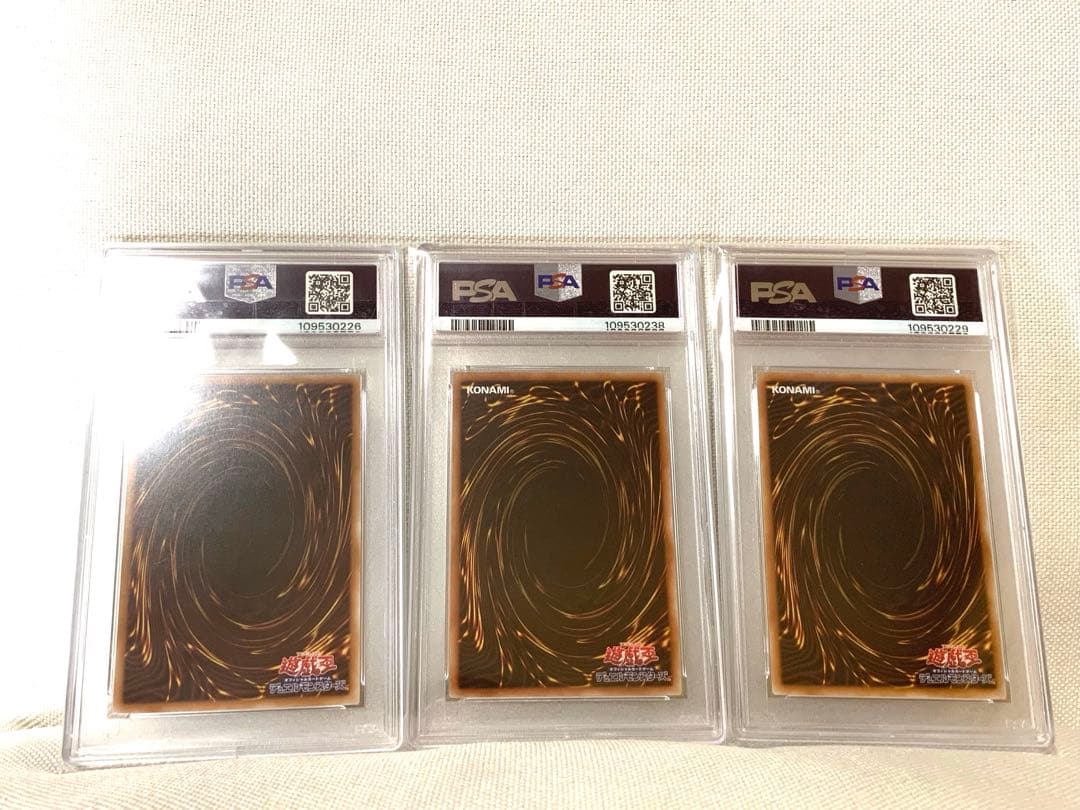 し*。様 【特価】ドラグーンオブレッドアイズ 倶利伽羅天童　迷宮城の白銀姫　PS