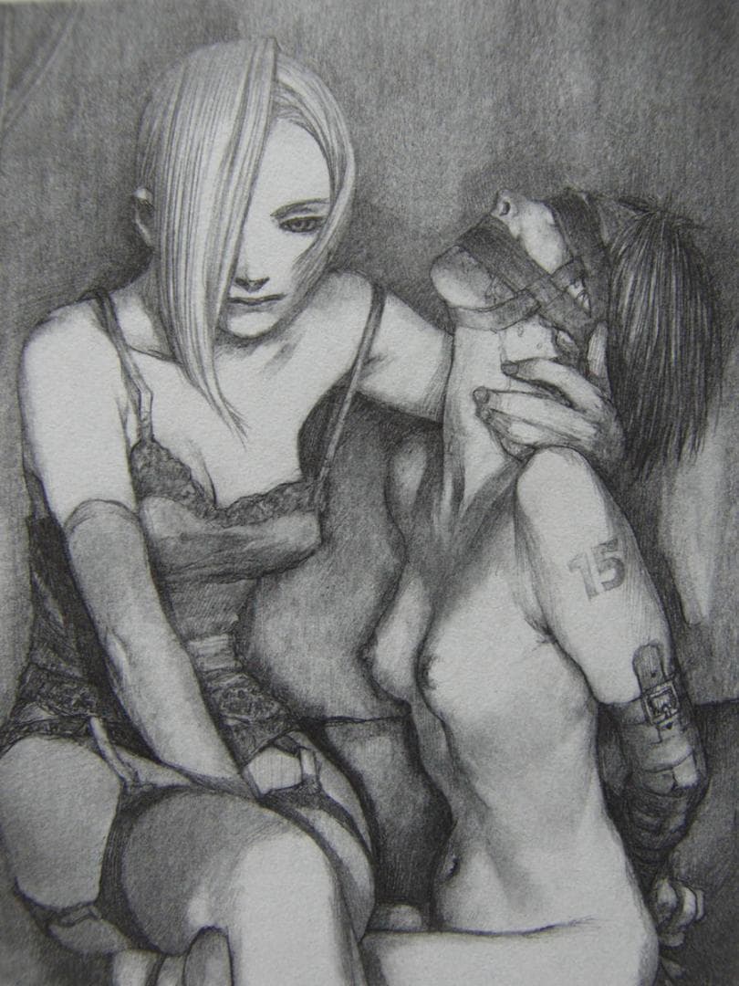 沙村 広明　3、希少画集・額装画、美女、官能イラスト作品、状態良好、新品額付き