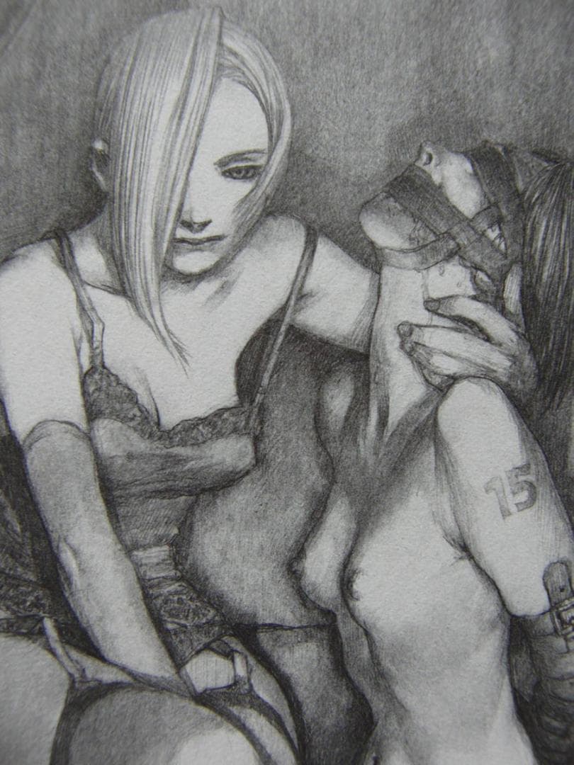 沙村 広明　3、希少画集・額装画、美女、官能イラスト作品、状態良好、新品額付き