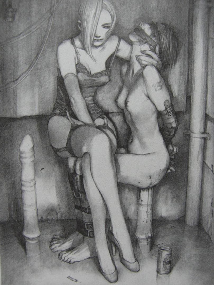 沙村 広明　3、希少画集・額装画、美女、官能イラスト作品、状態良好、新品額付き