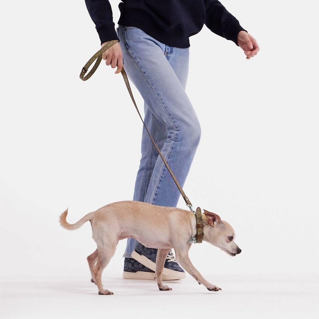 革 ボックス ラージ ペット リーシュ シグネチャー 犬用新品 リード コーチ