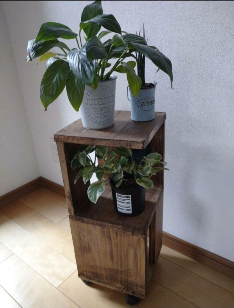 サーキュレータースタンド　シェルフ　ウォールナット