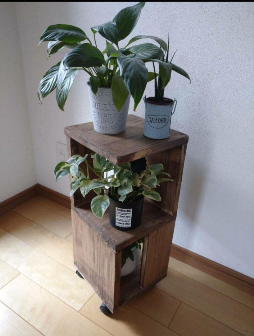 サーキュレータースタンド　シェルフ　ウォールナット