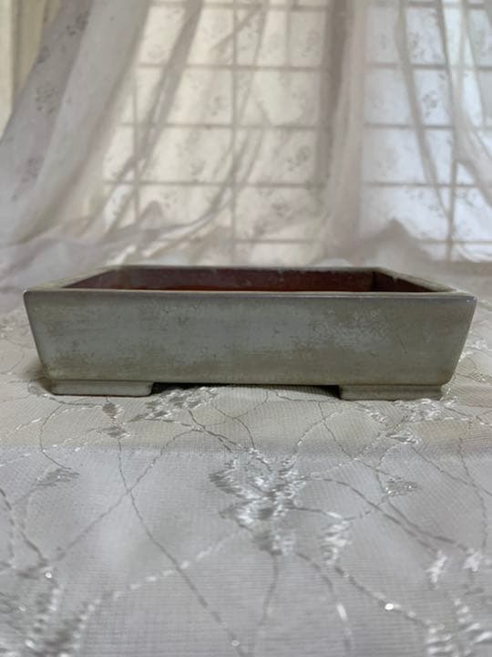 長方　盆栽鉢　落款あり