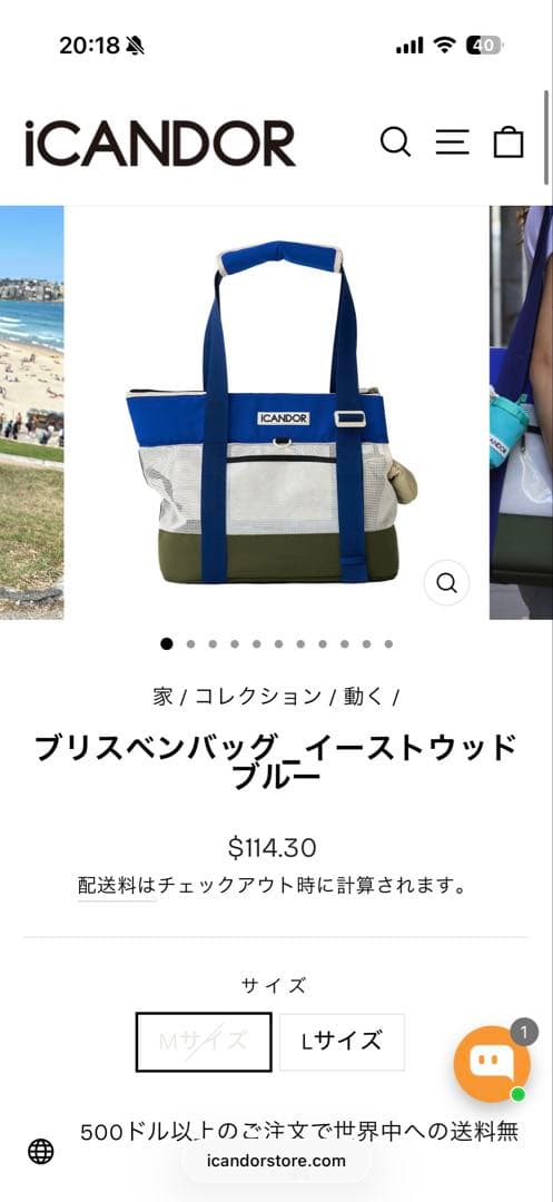 iCANDOR ブリスベンバッグ_イーストウッドブルー Mサイズ