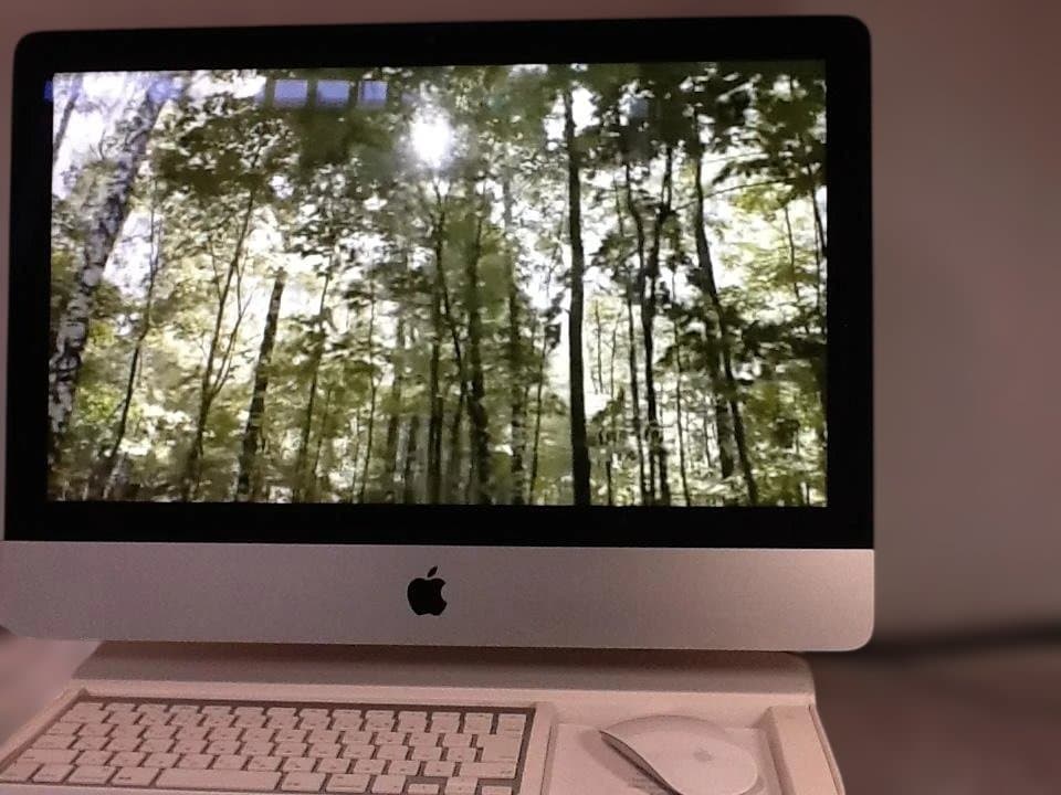 Macデスクトップ Apple iMac (21.5-inch, Late 2015)