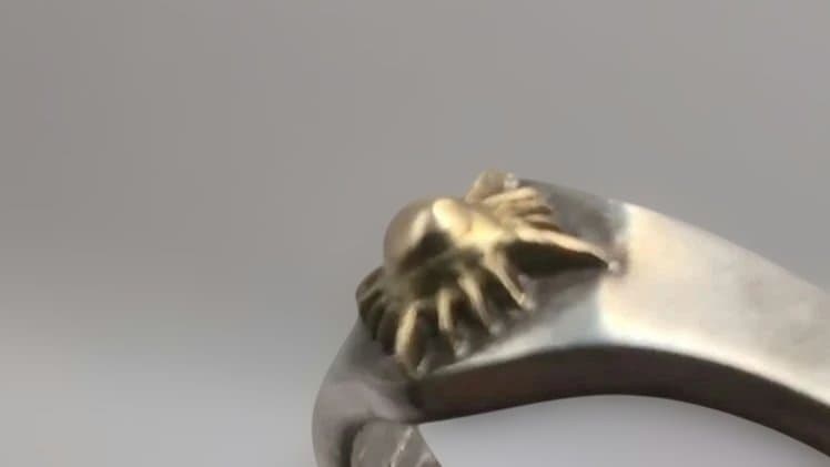 アリゾナフリーダム リング 太陽神 17号