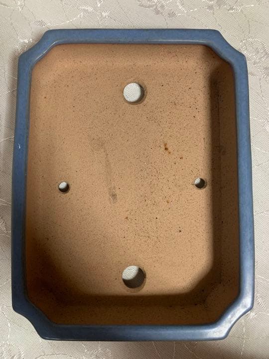 風舟　盆栽鉢　長方