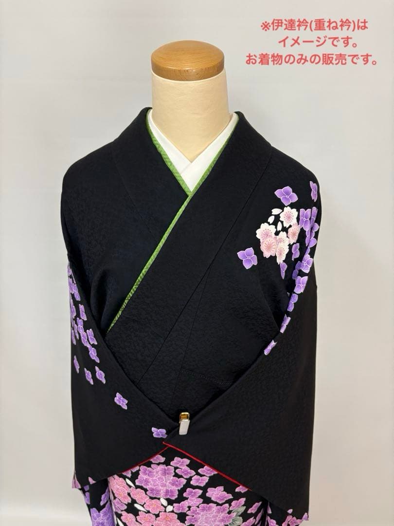 振袖 袷 紫陽花 桜 金糸 ブラック パールトーン加工済