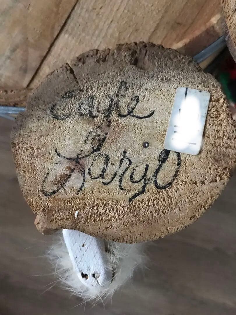 カチナドール（2体）一式