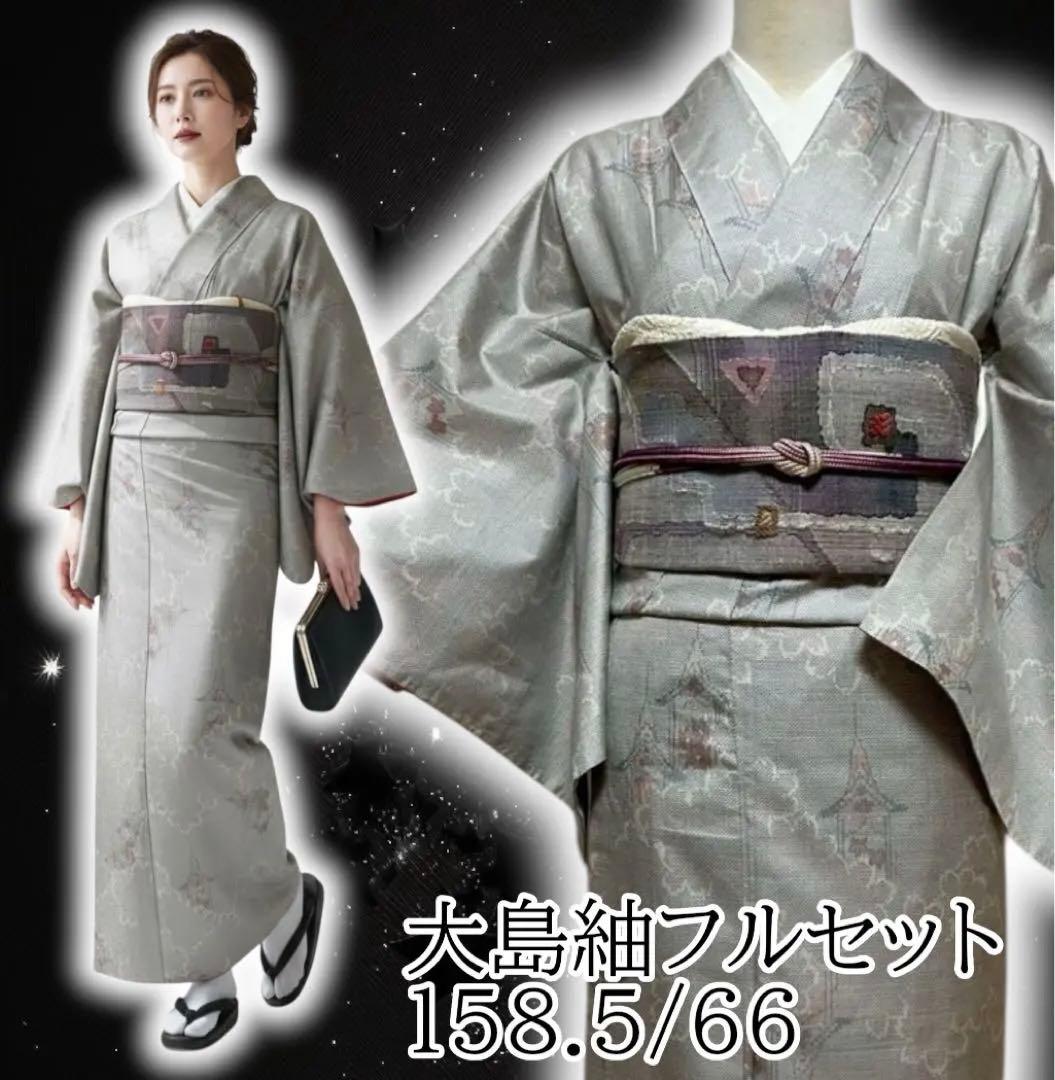 未使用近い　美品　袷　正絹　白紬　大島紬　白大島紬　小紋　フルセット