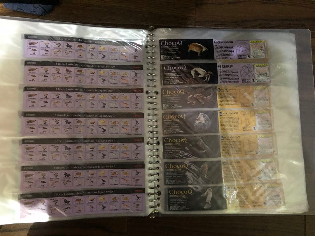 チョコエッグ日本の動物コンプリート