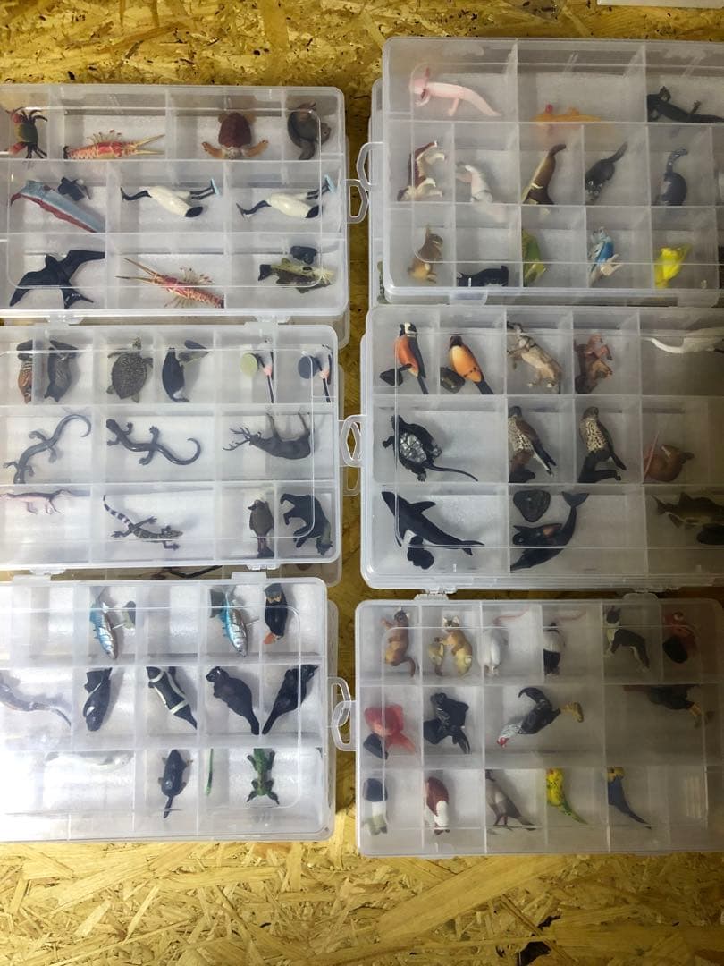 チョコエッグ日本の動物コンプリート