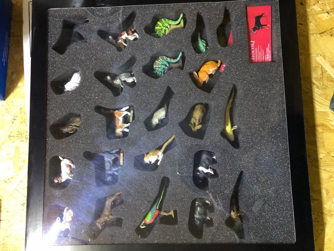 チョコエッグ日本の動物コンプリート