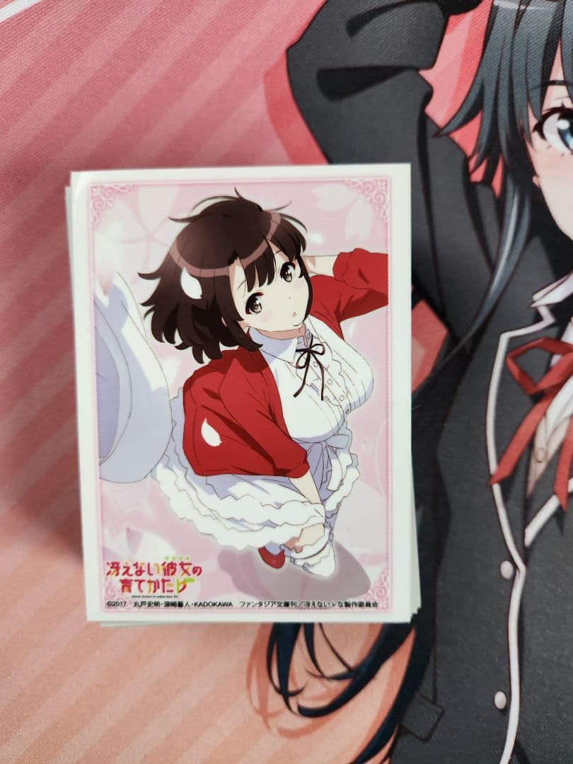 ポフラム　ヴァイス引退品