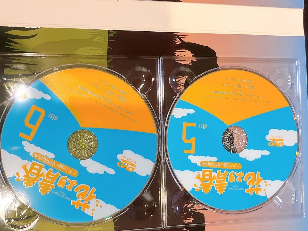 花より青春～アフリカ編 双門洞(サンムンドン)4兄弟 DVD-BOX〈7枚組〉