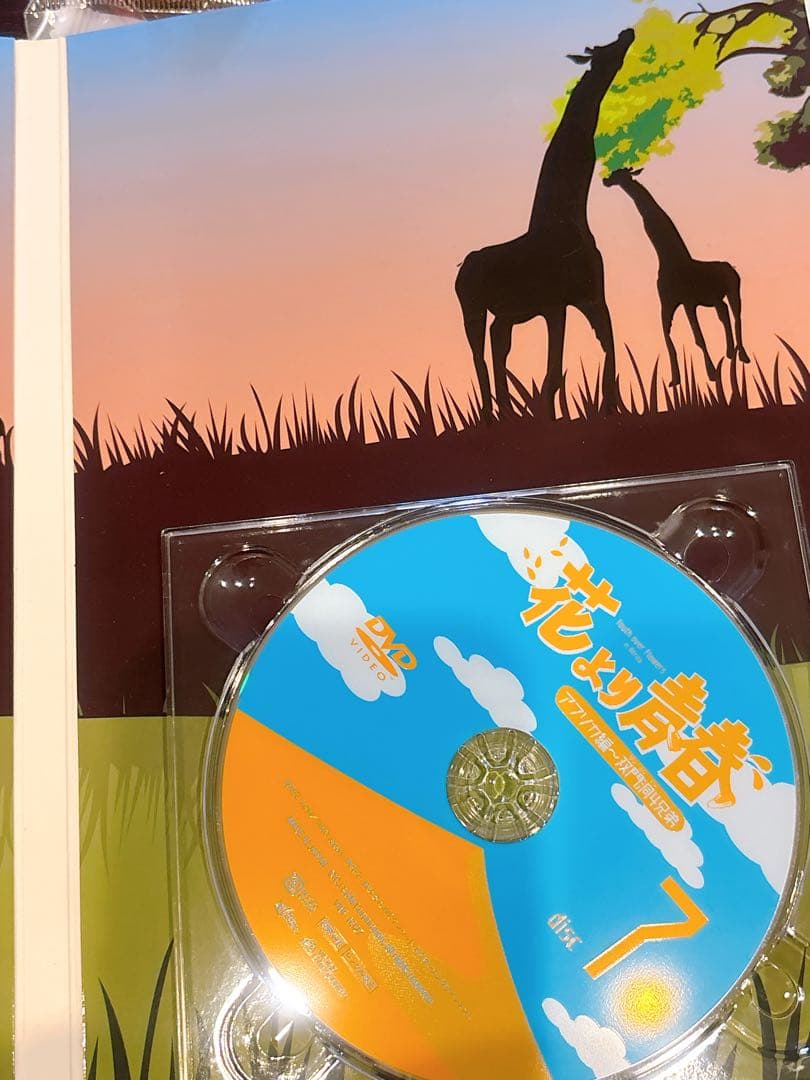 花より青春～アフリカ編 双門洞(サンムンドン)4兄弟 DVD-BOX〈7枚組〉