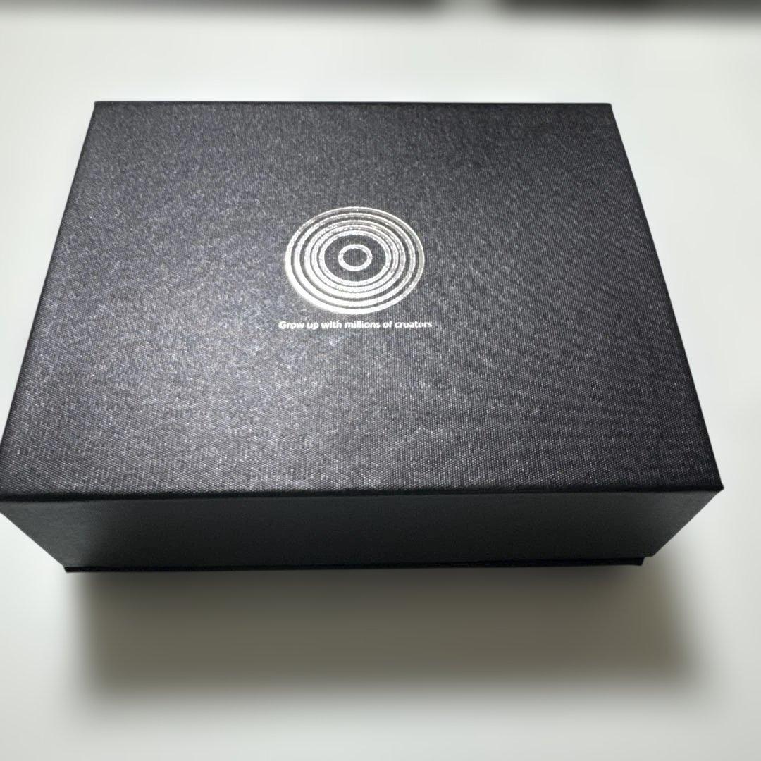 LandeeCam 小型カメラ