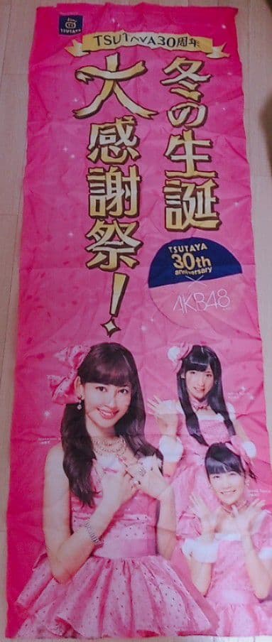 AKB48　のぼり　小嶋陽菜　小嶋真子　岡田奈々　非売品　希少品　レア　入手困難