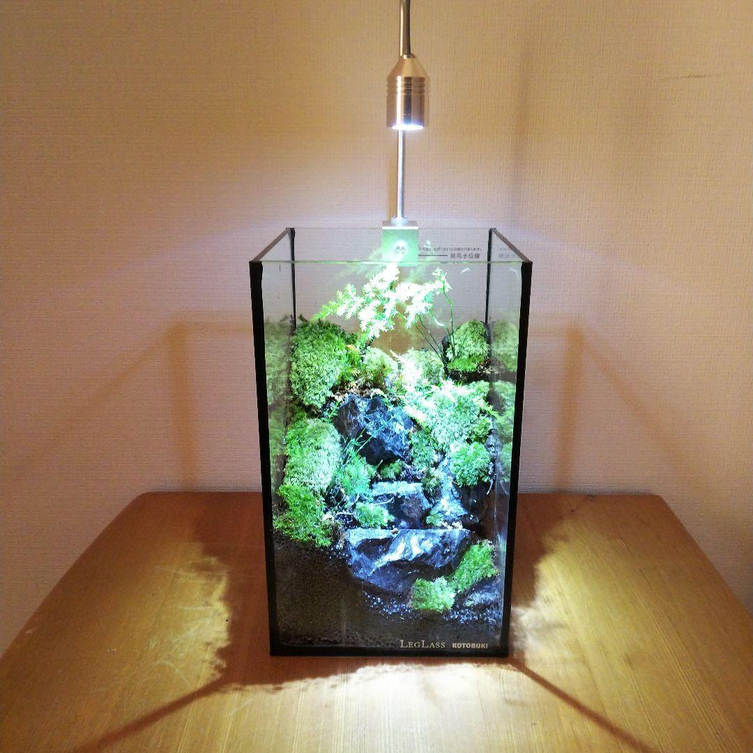 【受注生産】苔テラリウム