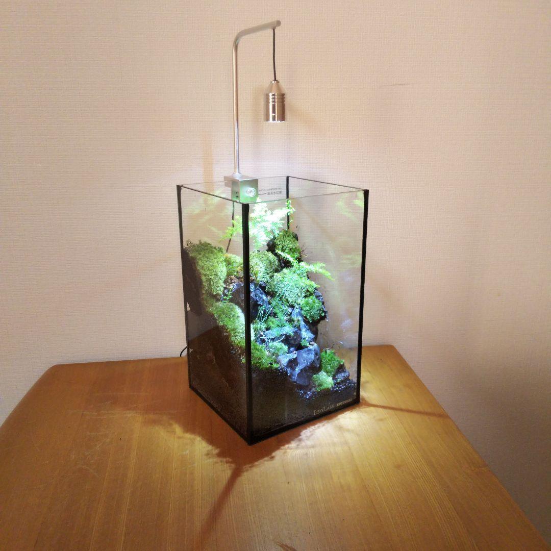 【受注生産】苔テラリウム