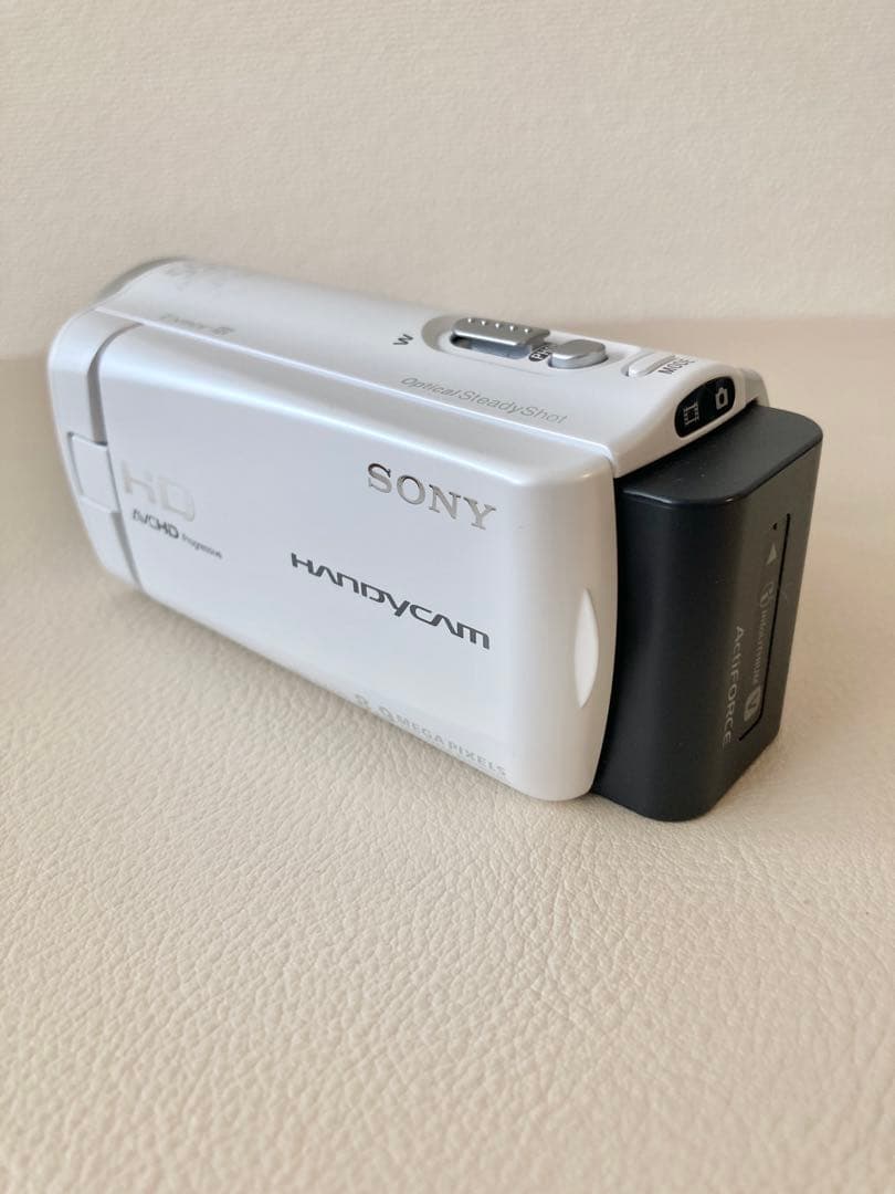 ビデオカメラ Sony Handycam HDR-CX270V
