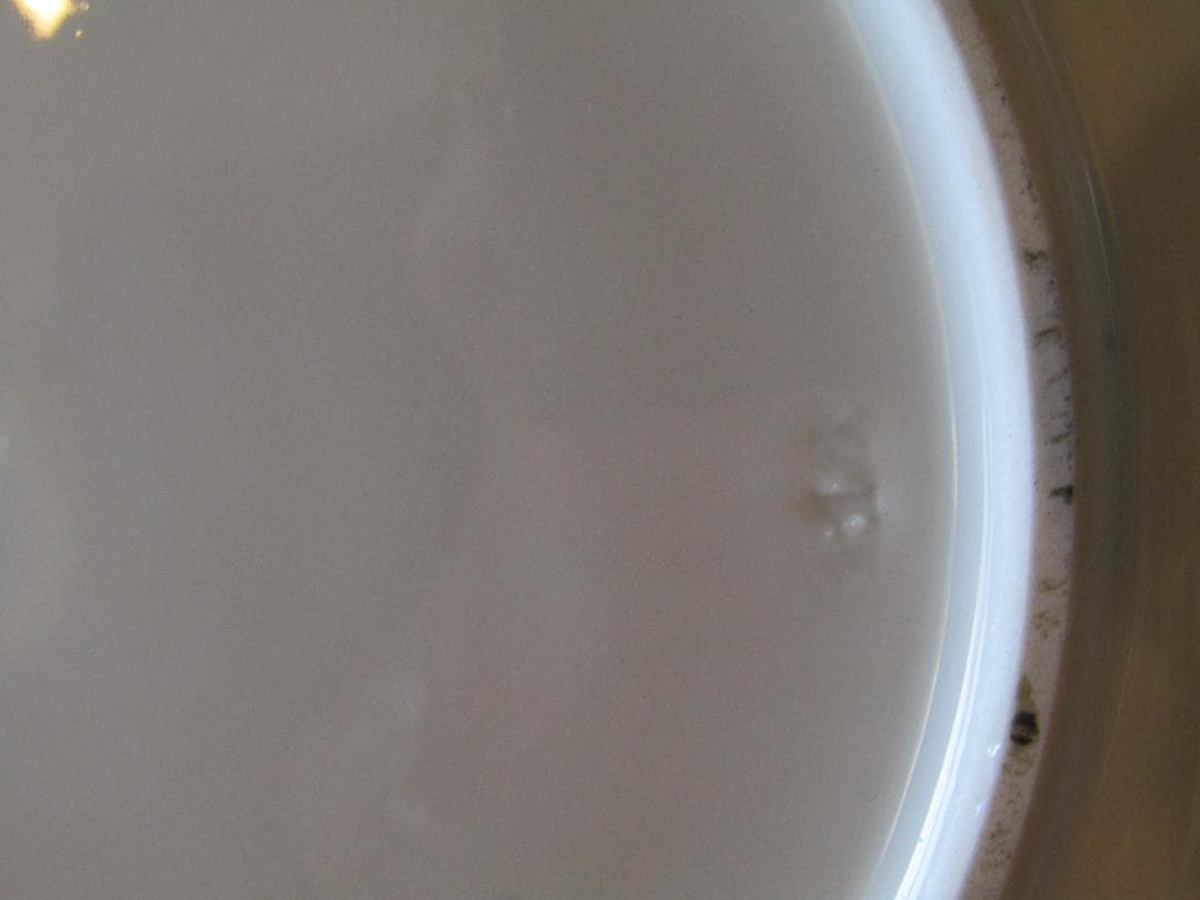 マイセン　カラーオニオン　アンティーク 花と鳥の装飾プレート　希少品