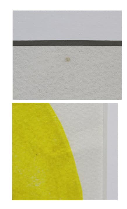 アイズピリ【黄色の背景の花瓶の花束】 リトグラフ