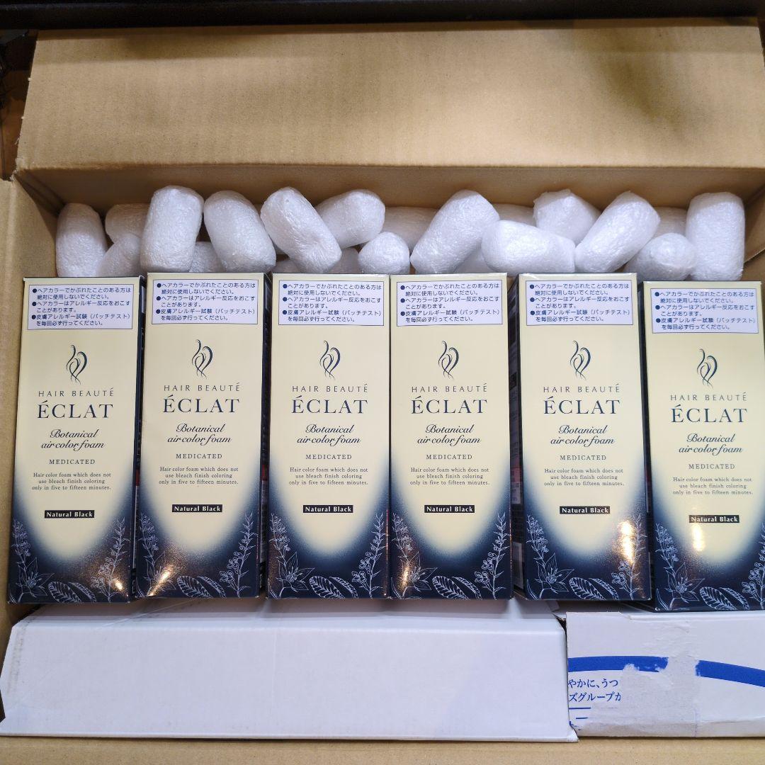 HAIR BEAUTE ÉCLATボタニカルエアカラー泡 ナチュラルブラック６本