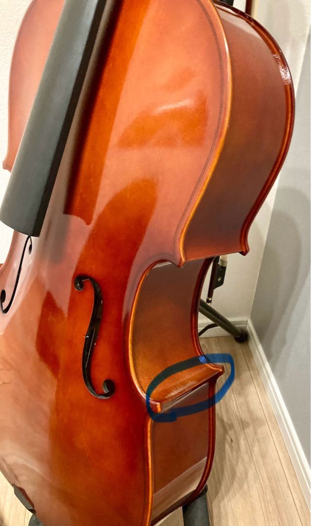 ※坂井正人※チェロ 3/4 カルロ・ジョルダーノ SC-100