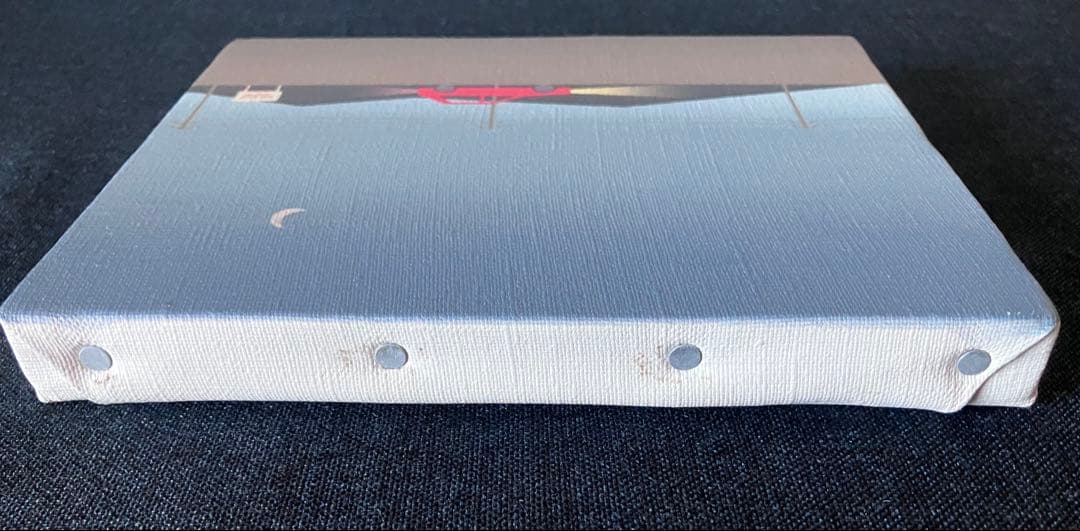 レア ジェリー鵜飼×タコマフジレコード DRIVE 2019 キャンバスアート