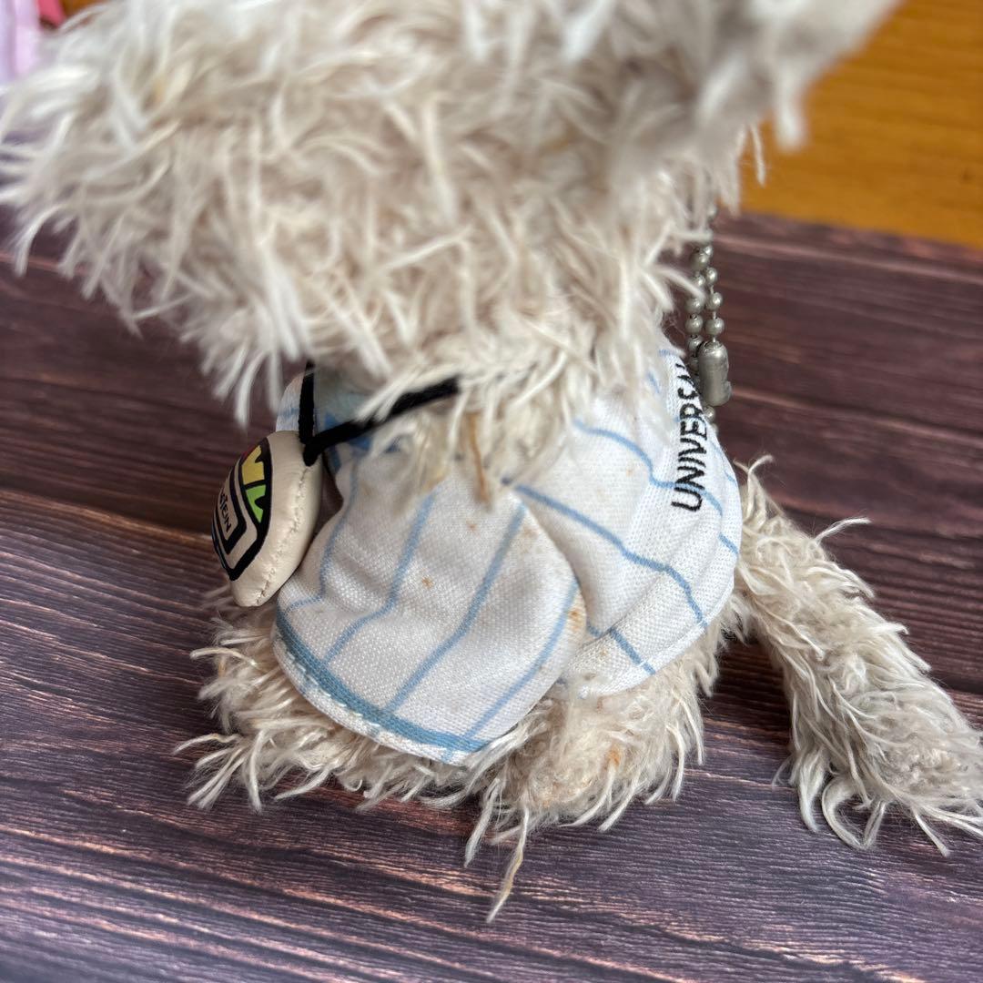 アインシュタイン　マスコット　USJ