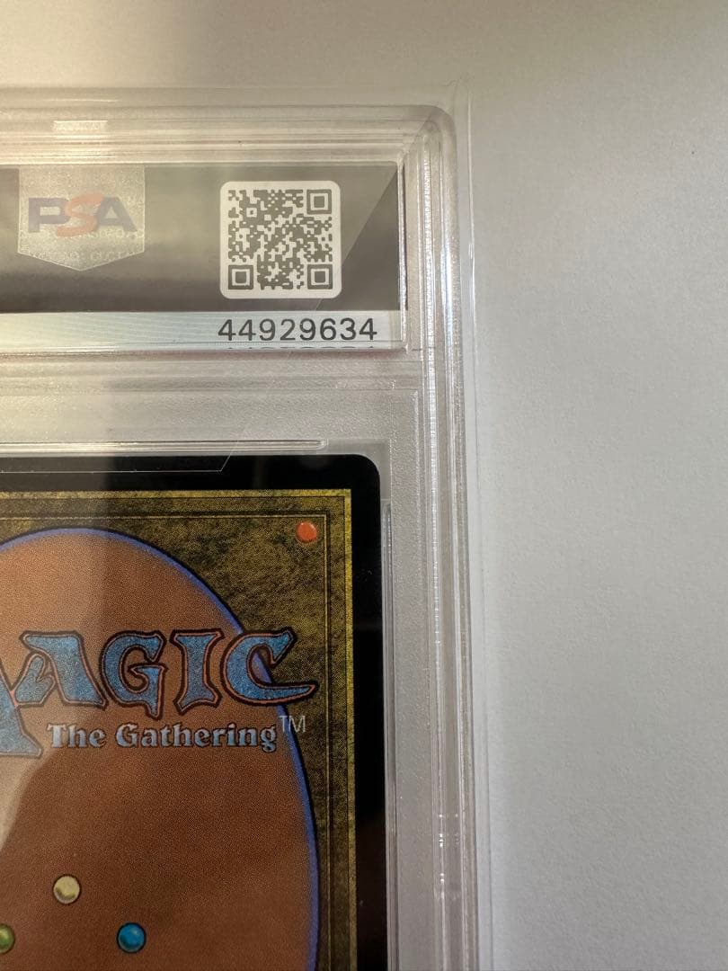 MTG 慈悲深きセラ　日本語　foil PSA10 マジックザギャザリング