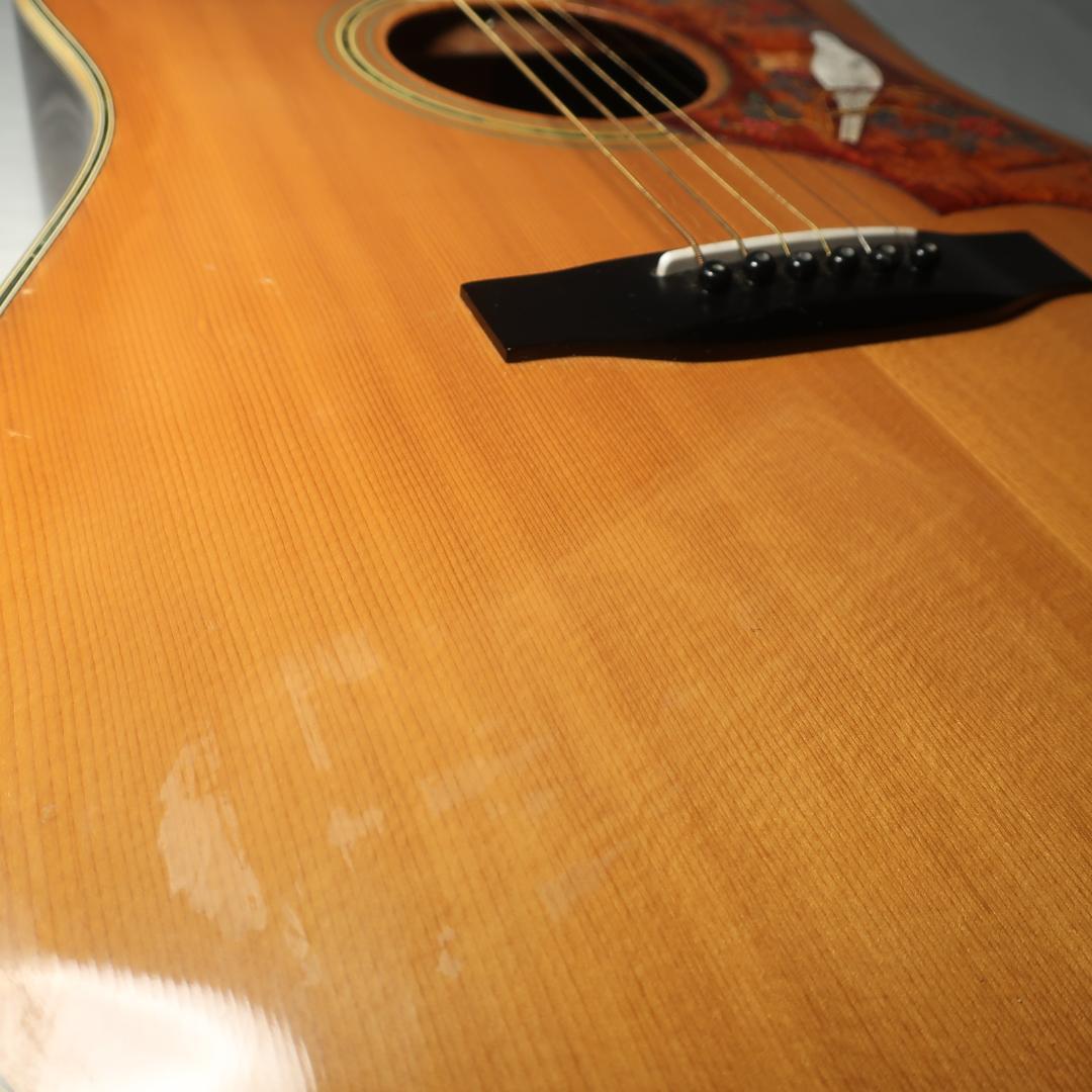 Morris W-30 エレアコ仕様 ギター ハードケース付