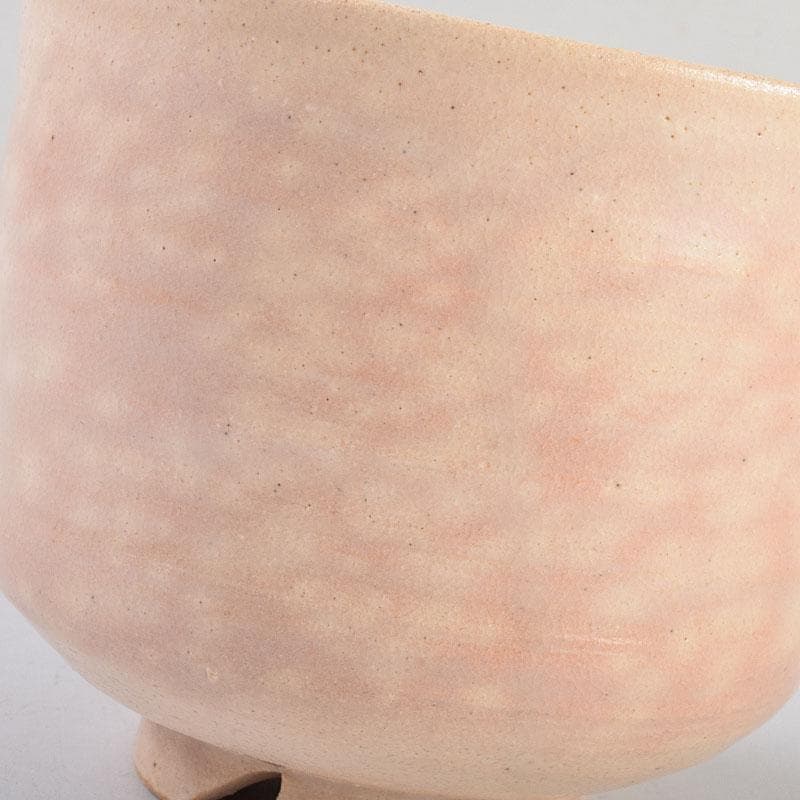 茶道具　志野焼　立鶴絵　茶碗　在銘　時代箱　V　R9374