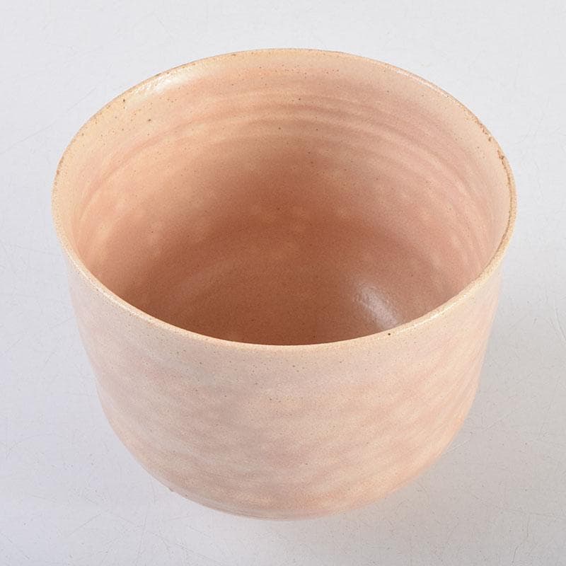 茶道具　志野焼　立鶴絵　茶碗　在銘　時代箱　V　R9374