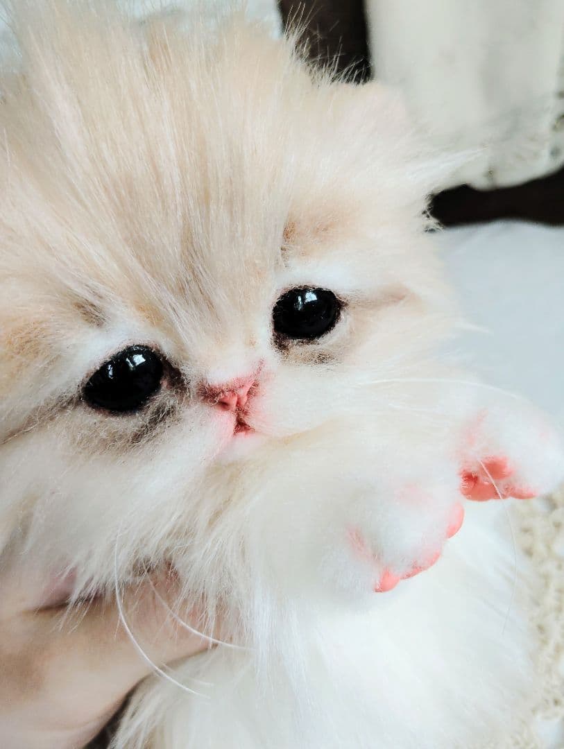 ミヌエット♡子猫のプニちゃん♡アートドール♡ぬいぐるみ♡