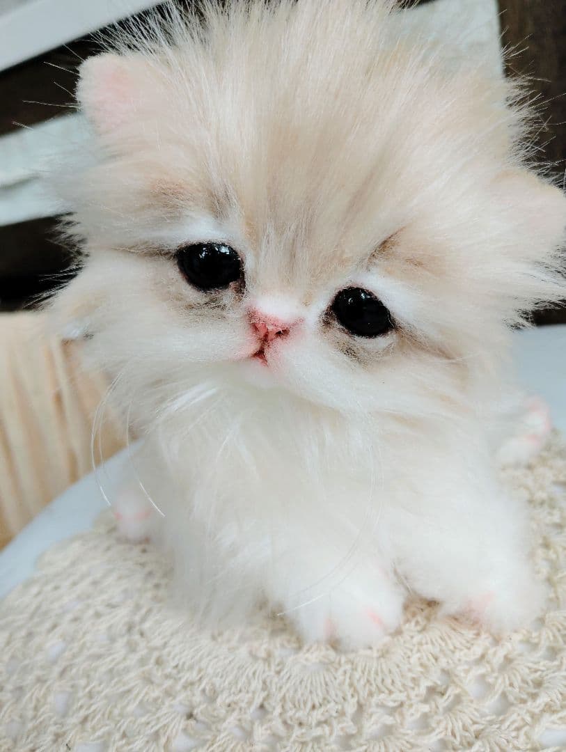 ミヌエット♡子猫のプニちゃん♡アートドール♡ぬいぐるみ♡