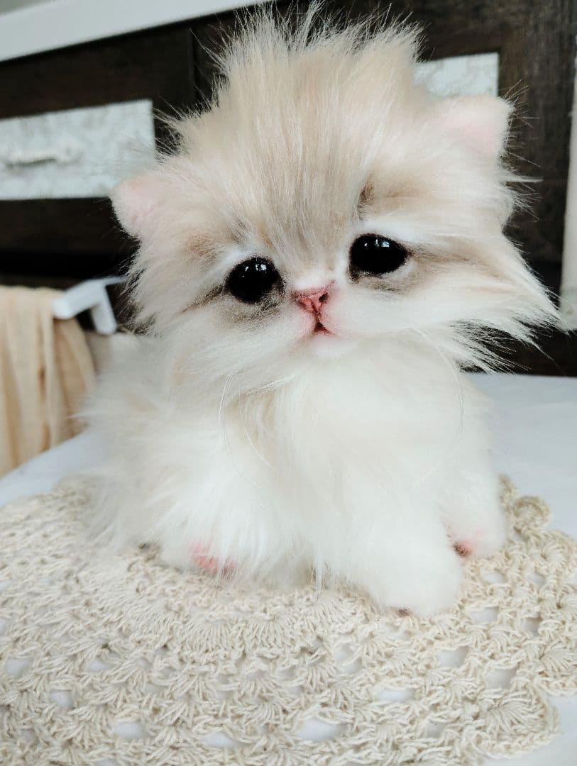 ミヌエット♡子猫のプニちゃん♡アートドール♡ぬいぐるみ♡